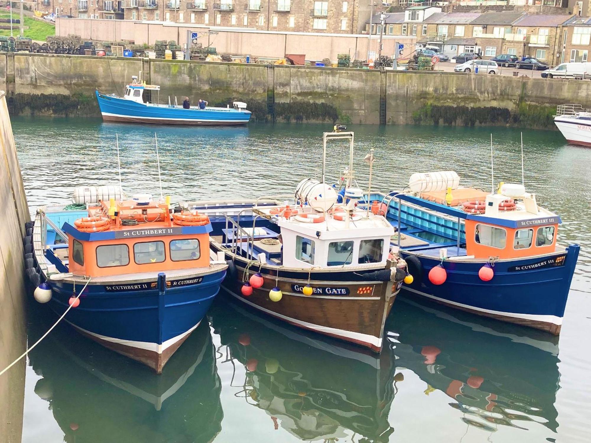 Dipper cottage Seahouses Esterno foto