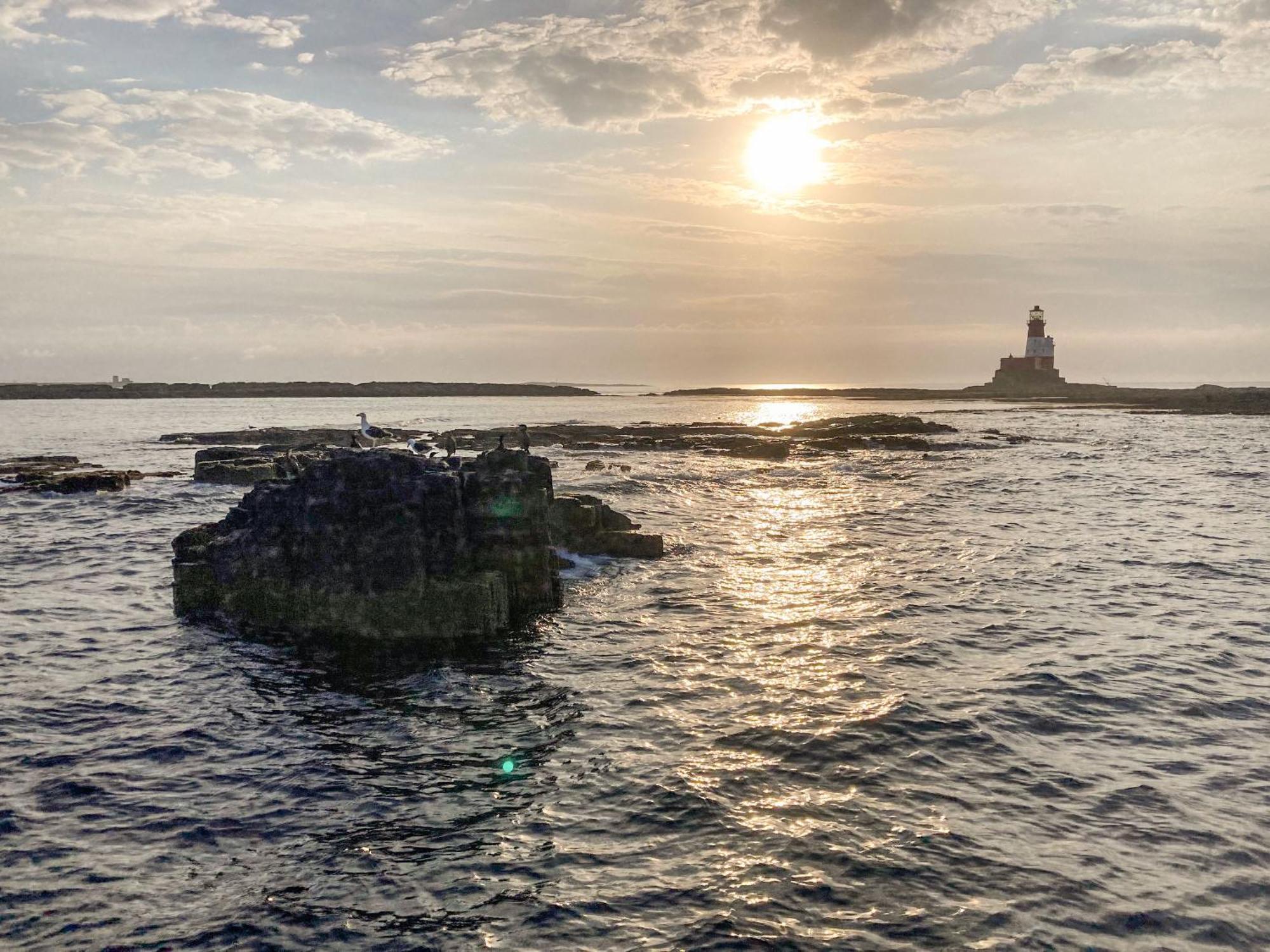 Dipper cottage Seahouses Esterno foto